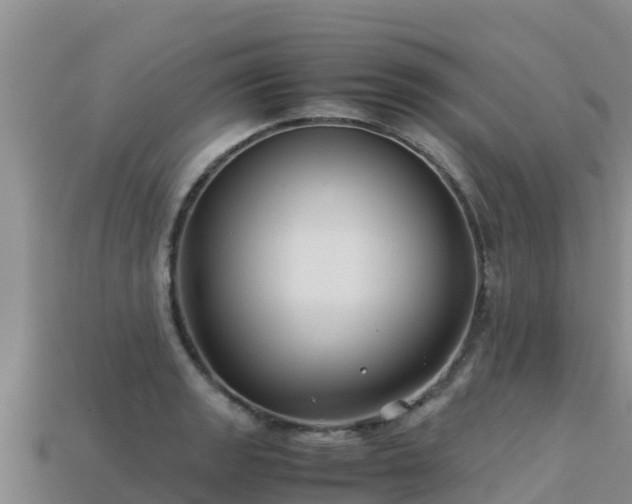 X0000113221133200909171549