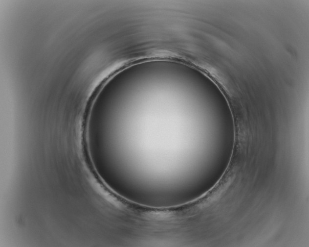 X0000113221134200909171550