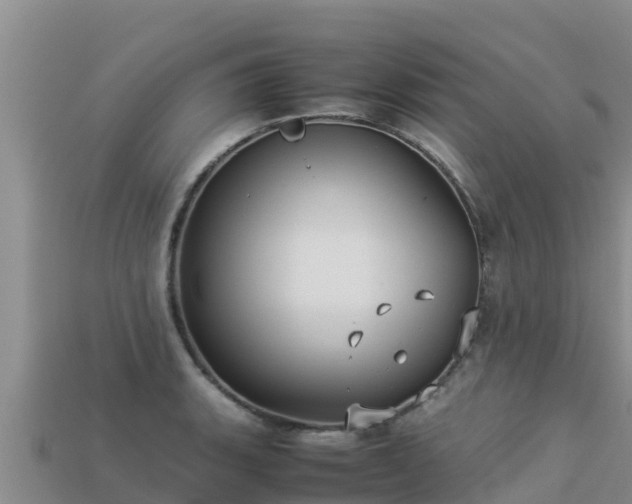 X0000113221135200909171550