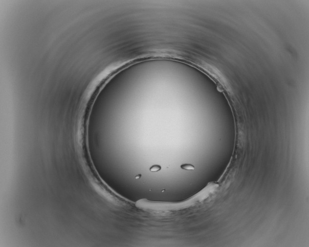 X0000113221136200909171550