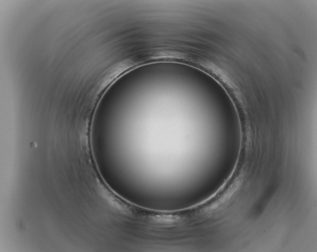 X0000113221137200909171550