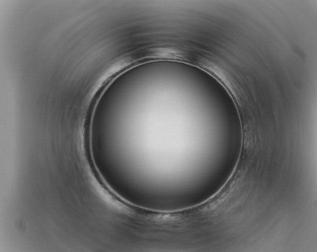 X0000113221139200909171550