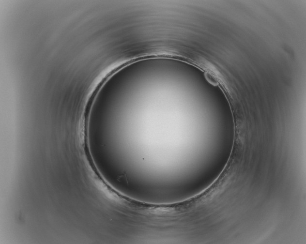 X0000113221140200909171550