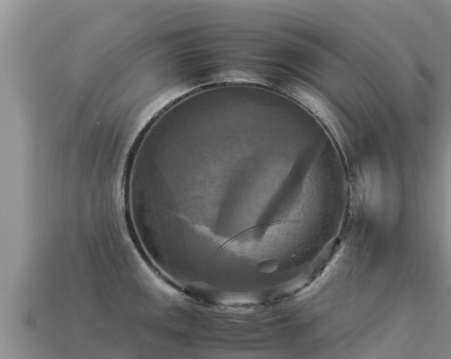 X0000113221141200909171550