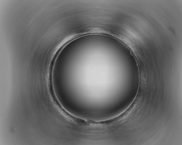 X0000113221142200909171550