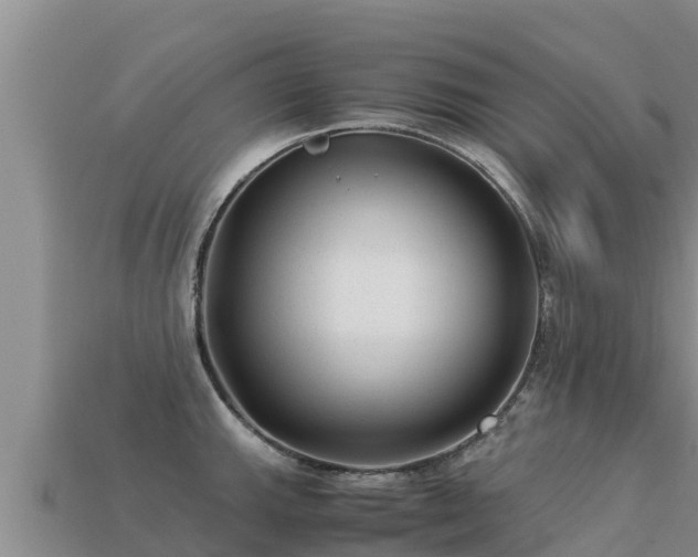 X0000113221143200909171550