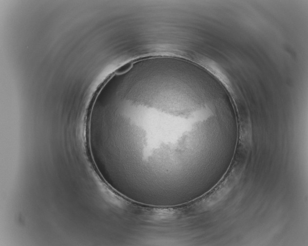 X0000113221144200909171550