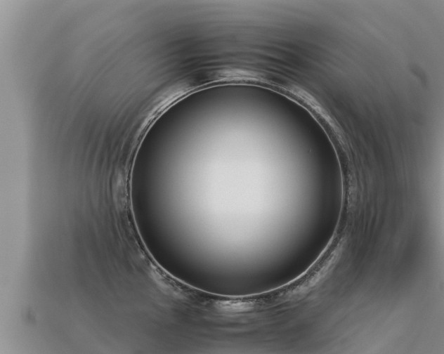 X0000113221145200909171550