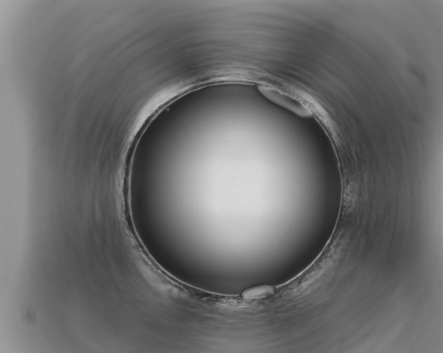 X0000113221146200909171550