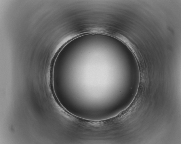 X0000113221147200909171550