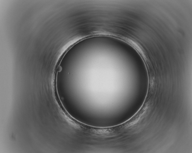 X0000113221149200909171550