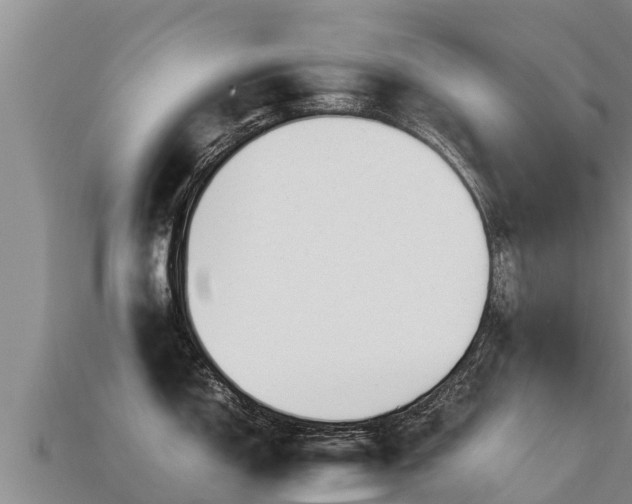 X0000113221150200909171550