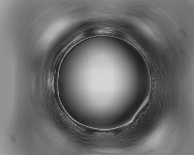 X0000113221151200909171550