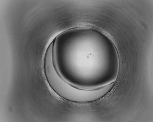 X0000113221152200909171550