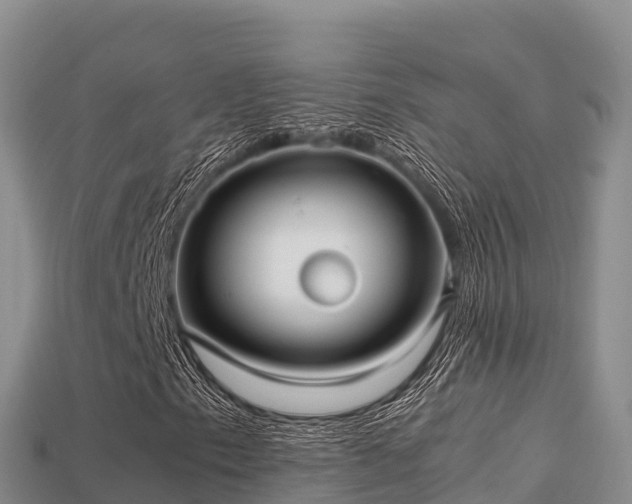 X0000113221153200909171549