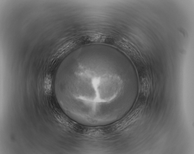 X0000113221154200909171549