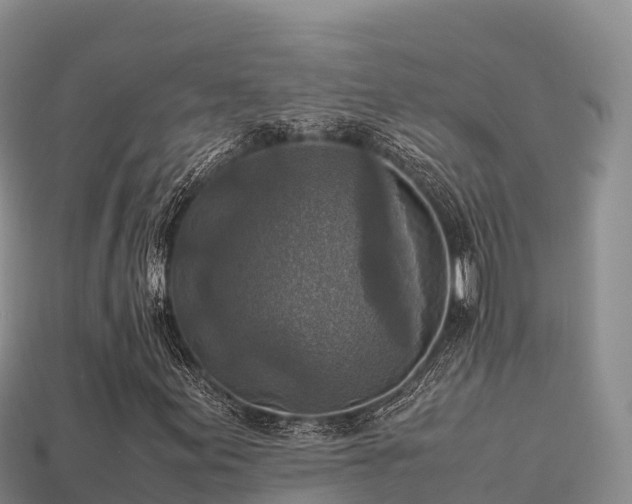 X0000113221155200909171549