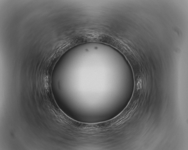 X0000113221156200909171549