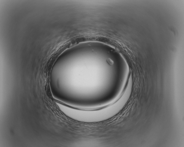 X0000113221157200909171549