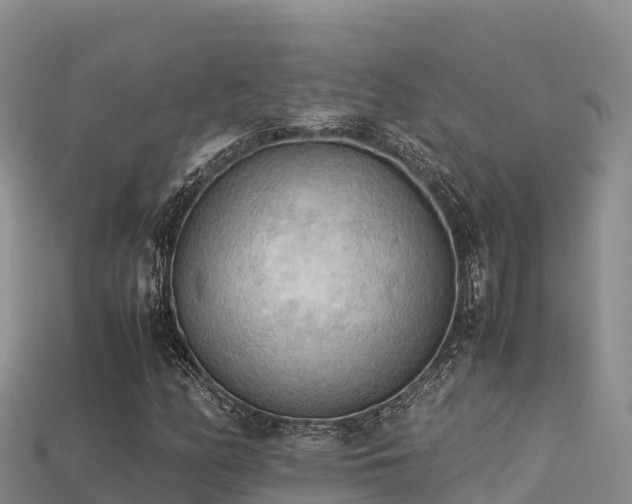 X0000113221158200909171549