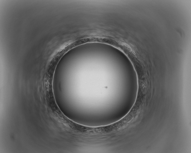 X0000113221159200909171549