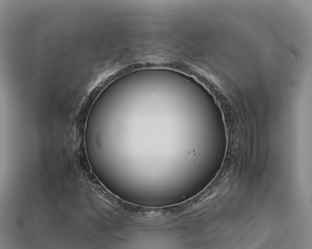 X0000113221160200909171549