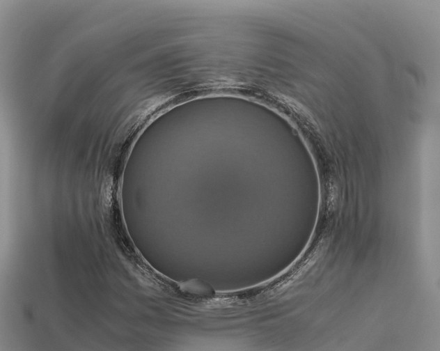 X0000113221161200909171549