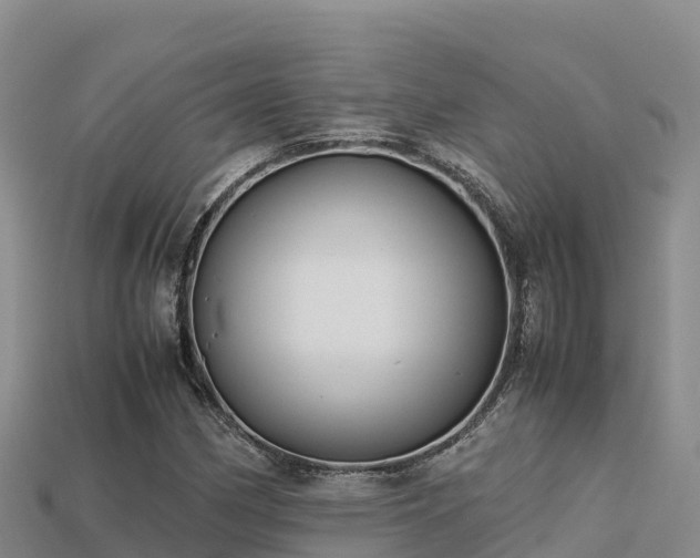 X0000113221162200909171549