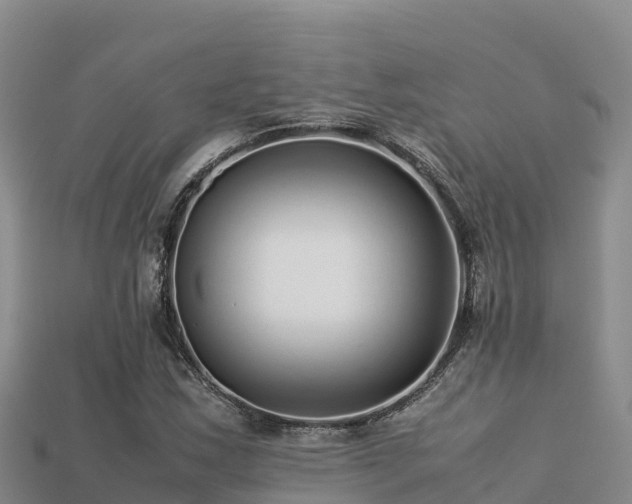 X0000113221163200909171549