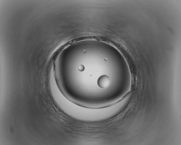 X0000113221165200909171549