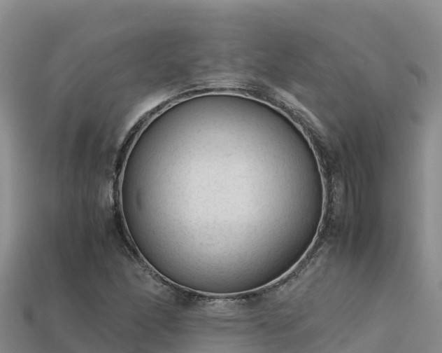 X0000113221166200909171549