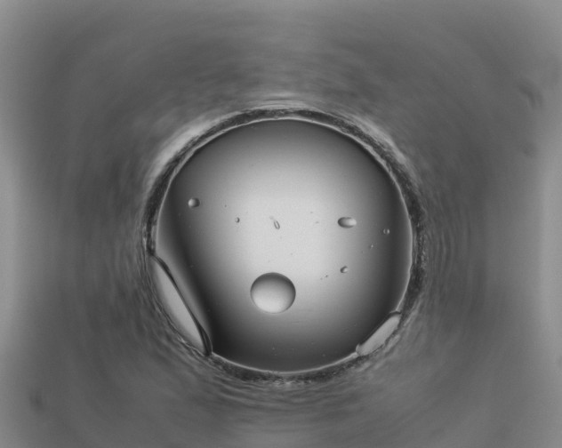 X0000113221167200909171549