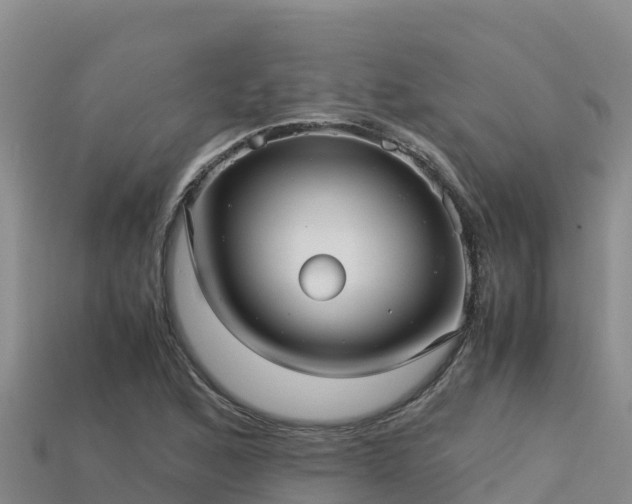 X0000113221168200909171549