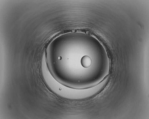 X0000113221169200909171549