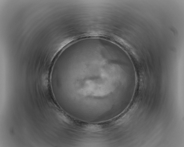 X0000113221170200909171549