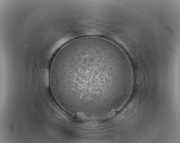 X0000113221171200909171549