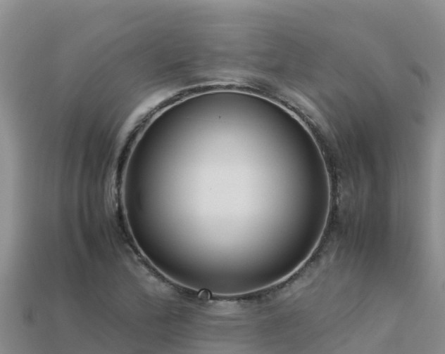 X0000113221172200909171549