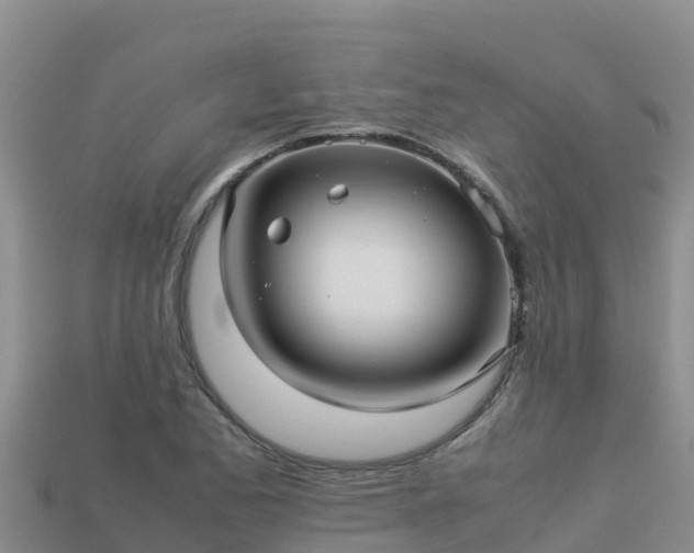 X0000113221173200909171549