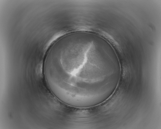 X0000113221174200909171549