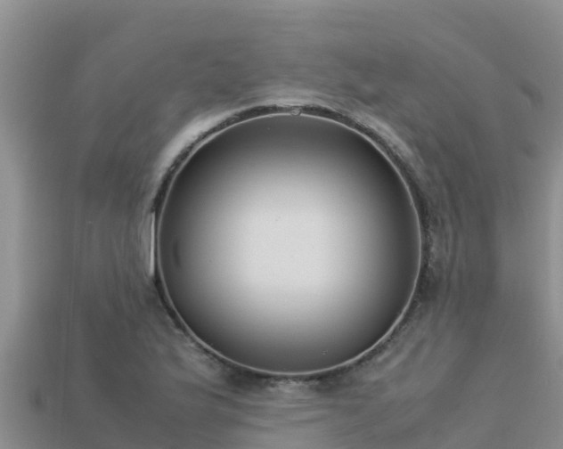 X0000113221175200909171549