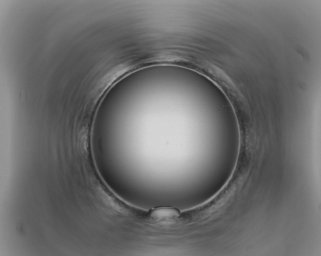 X0000113221177200909171549