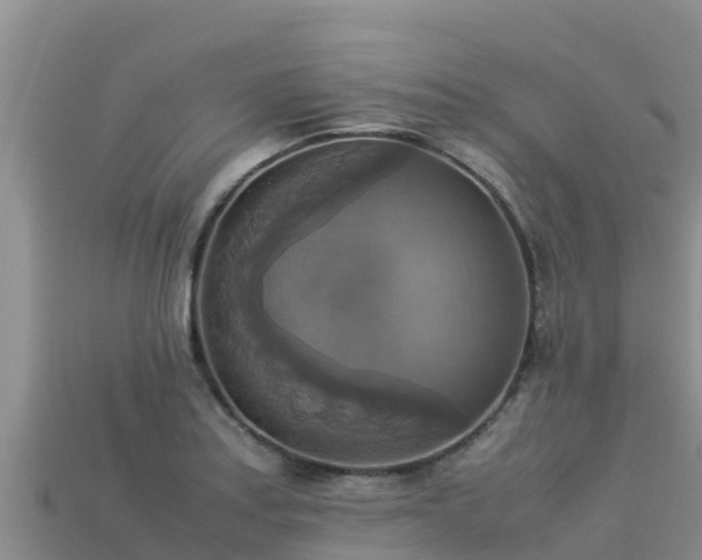 X0000113221179200909171549