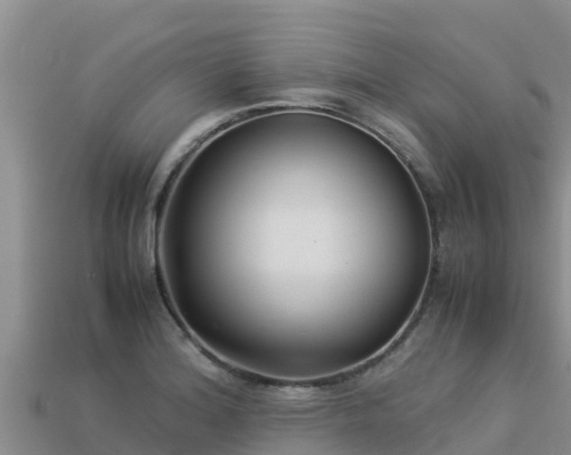 X0000113221180200909171549