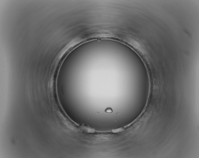 X0000113221181200909171549