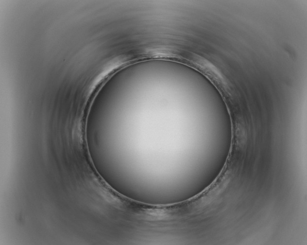 X0000113221182200909171549