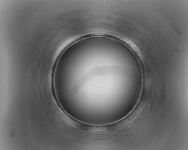 X0000113221183200909171549