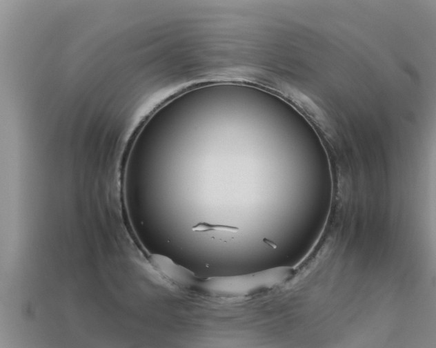 X0000113221184200909171549