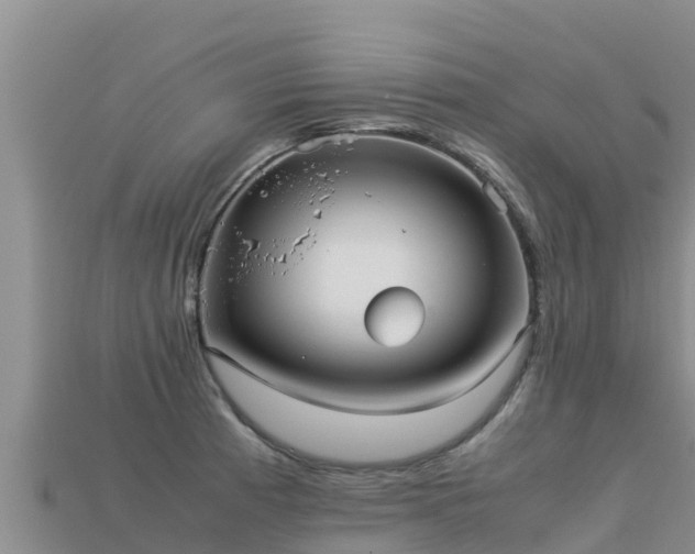 X0000113221185200909171549