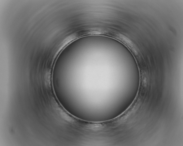 X0000113221186200909171549