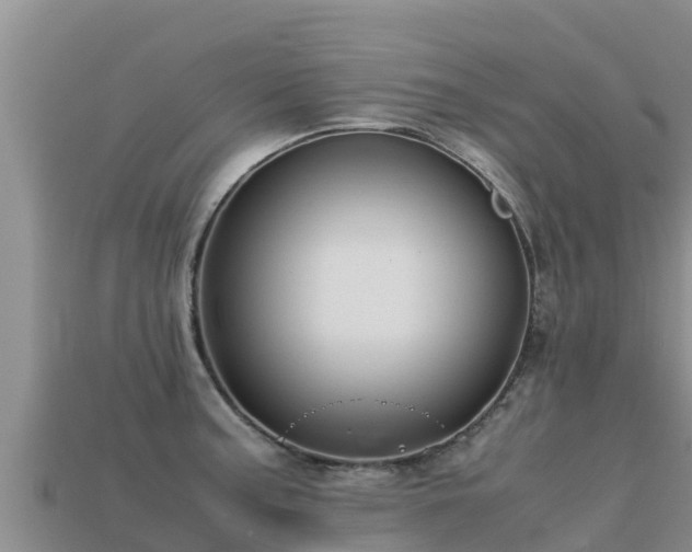 X0000113221187200909171549